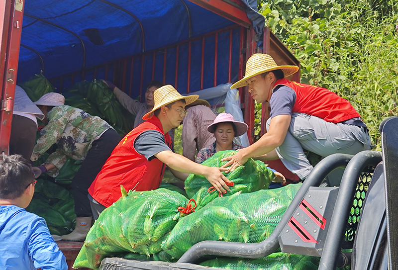 微信圖片_20260113185010_146_550.jpg 微信圖片_20260113185010_146_550.jpg